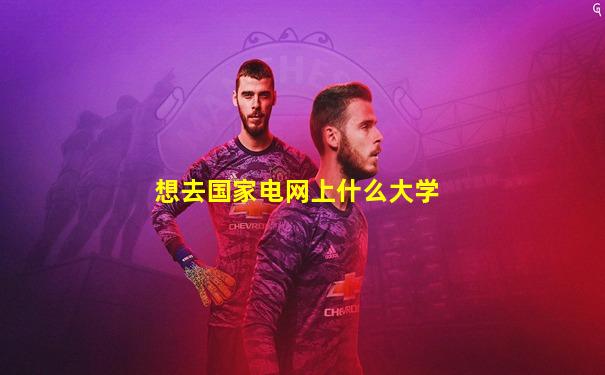 想去国家电网上什么大学