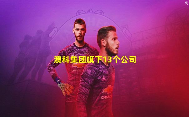 澳科集团旗下13个公司