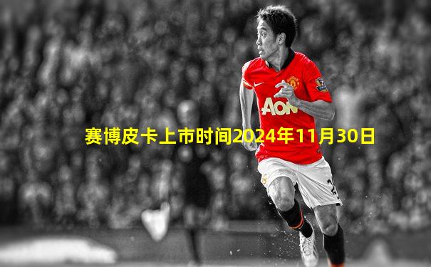 赛博皮卡上市时间2024年11月30日