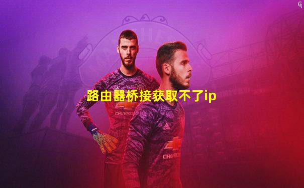 路由器桥接获取不了ip